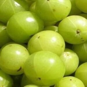 Amla Oil Soluble Liquid