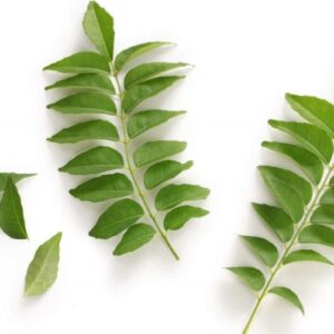 Curry-Leaves-Water-Soluble-Liquid-3.jpg