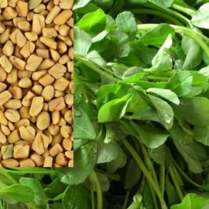Fenugreek Water Soluble Liquid